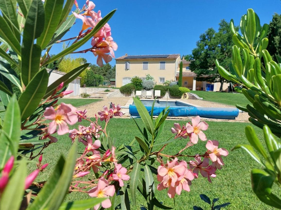 En Provence, Chez Stephanie Et Marcel Сен-Реми-де-Прованс Экстерьер фото