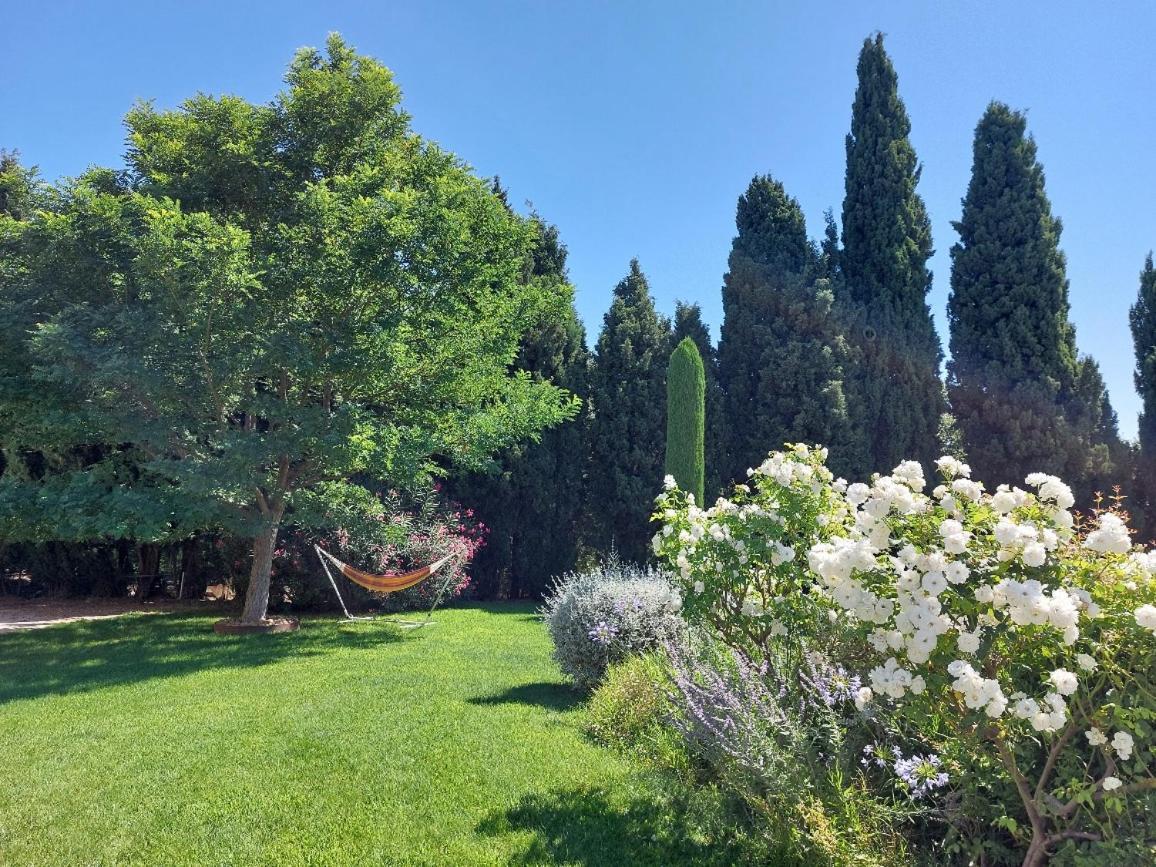 En Provence, Chez Stephanie Et Marcel Сен-Реми-де-Прованс Экстерьер фото